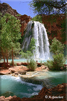 Havasu Fall